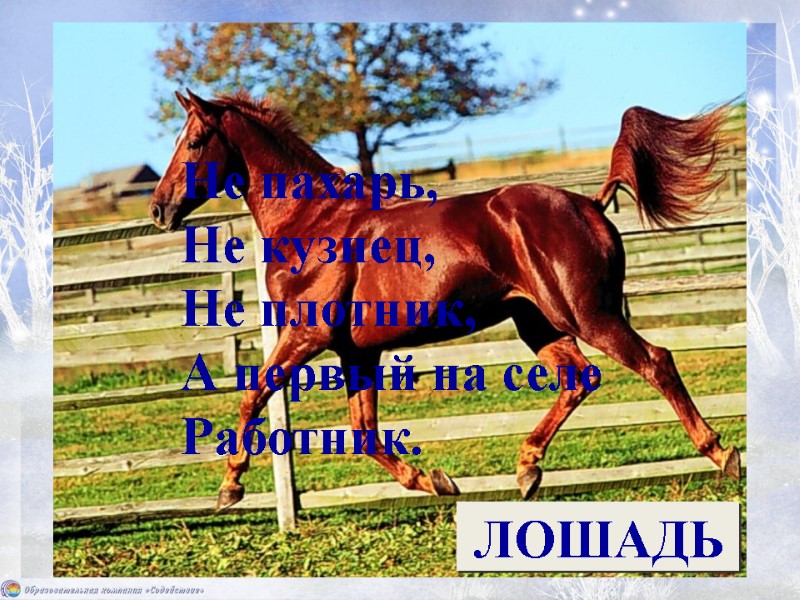 Не пахарь,  Не кузнец,  Не плотник, А первый на селе Работник. 